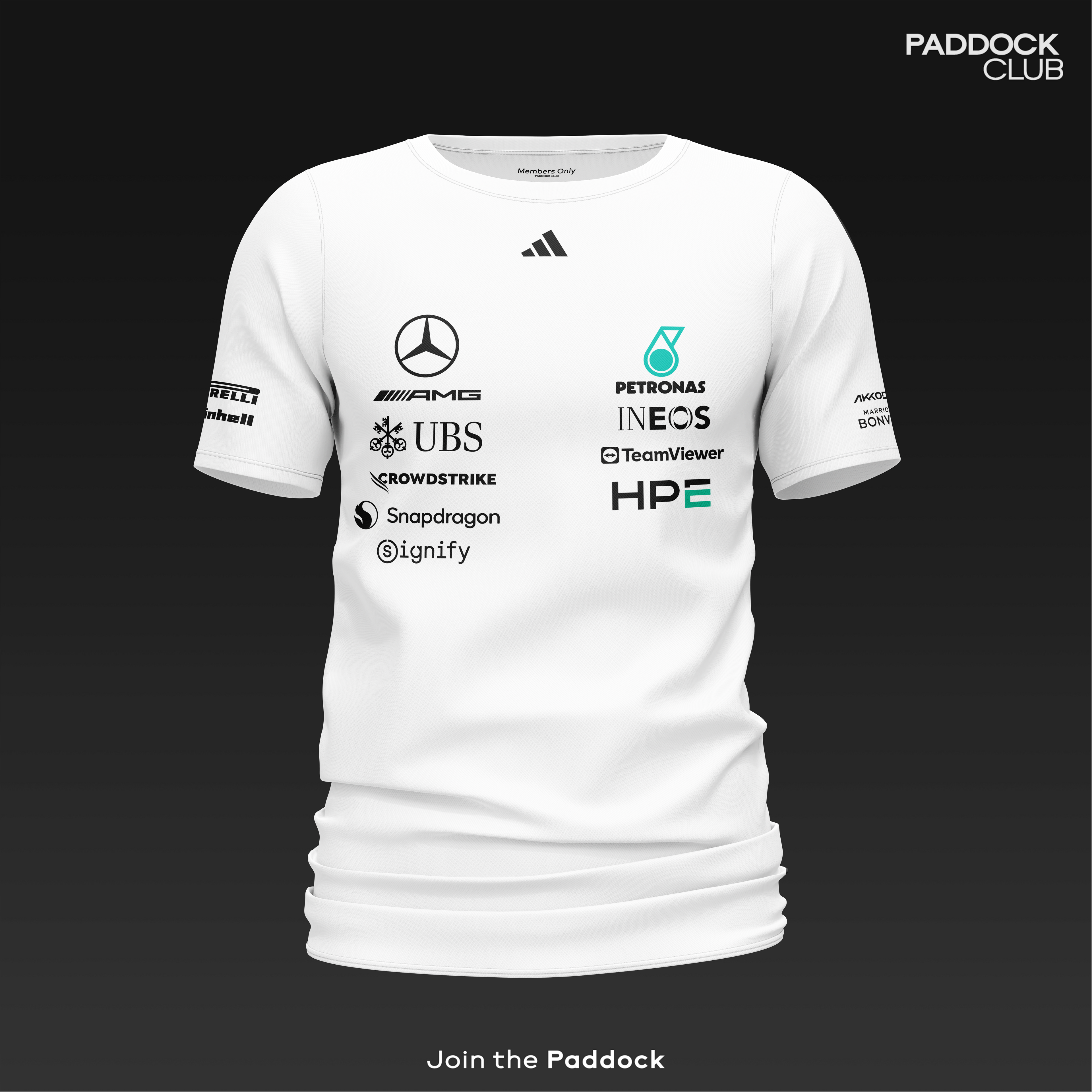 Mercedes-AMG PETRONAS F1 Team