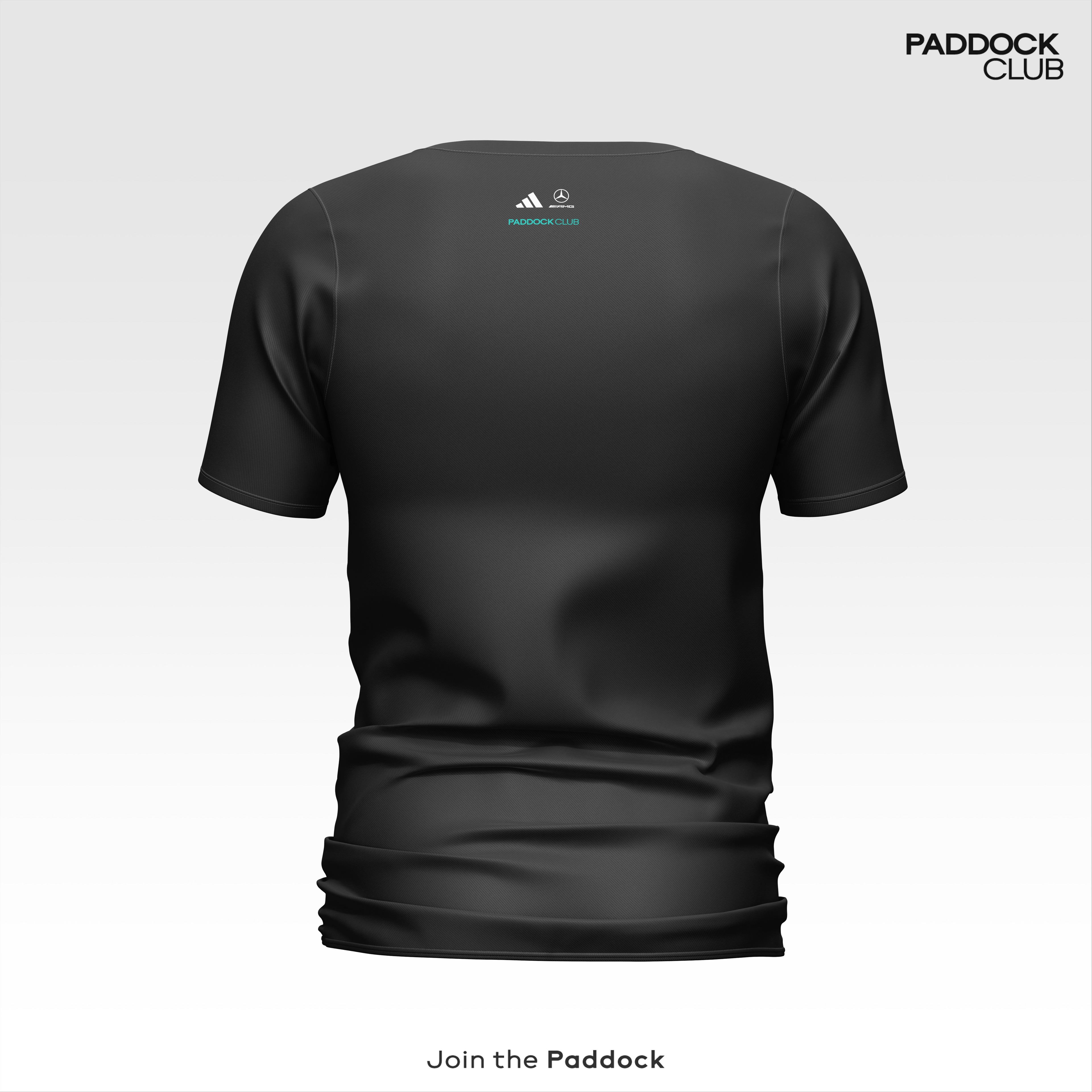 Mercedes-AMG PETRONAS F1 Team