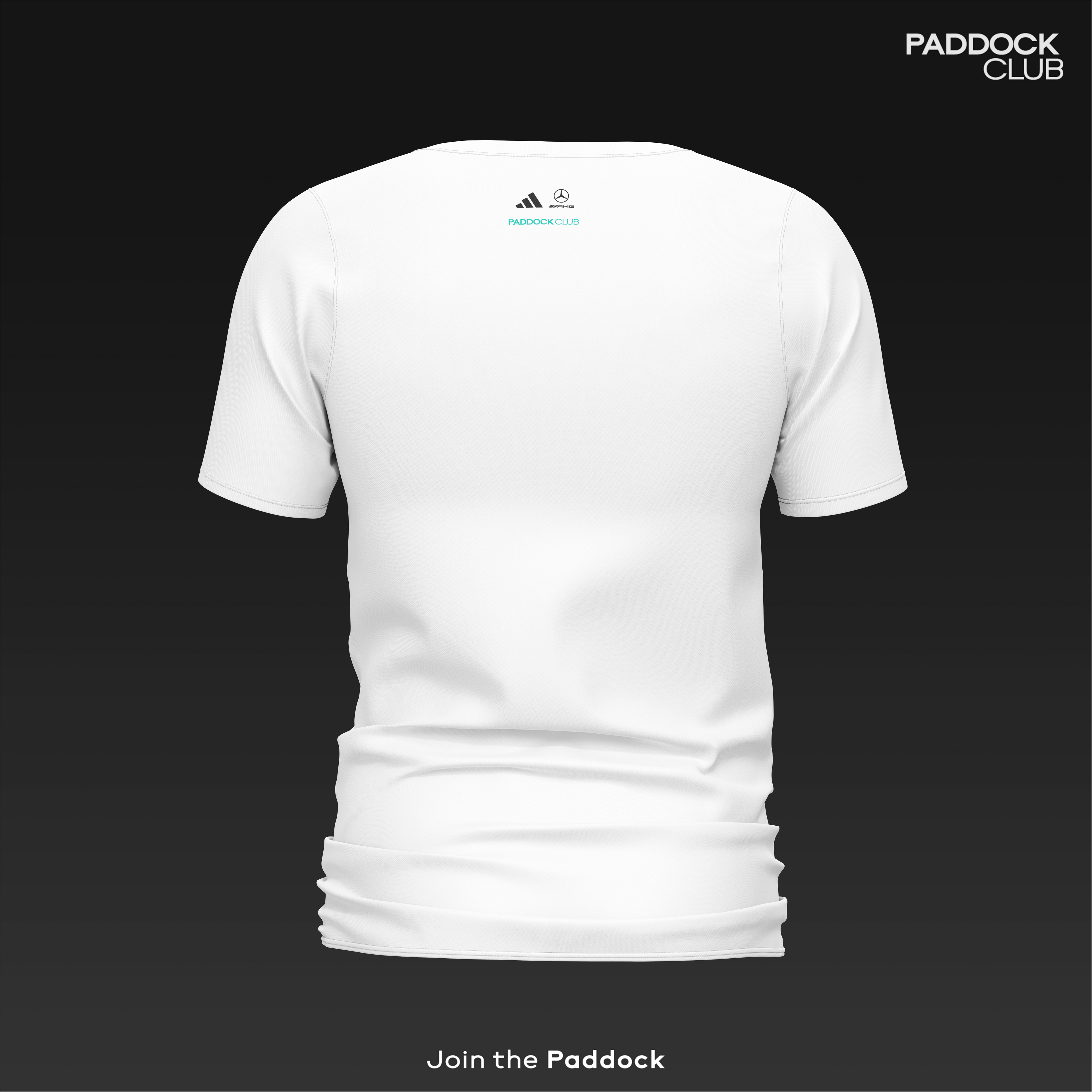 Mercedes-AMG PETRONAS F1 Team